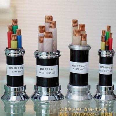 凤城za-rvv电缆产品展示